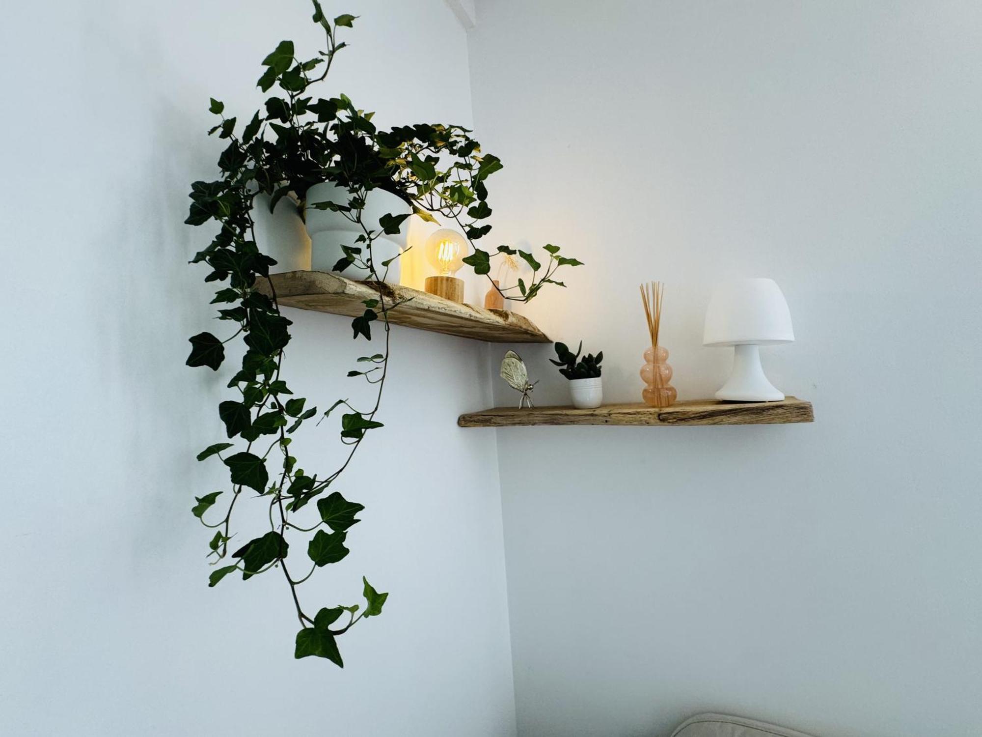 Le Piccolo - Appartement Cosy - Wifi بوجْلِ المظهر الخارجي الصورة